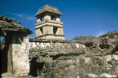 Paleis, Maya, Late Klassieke periode, Palenque